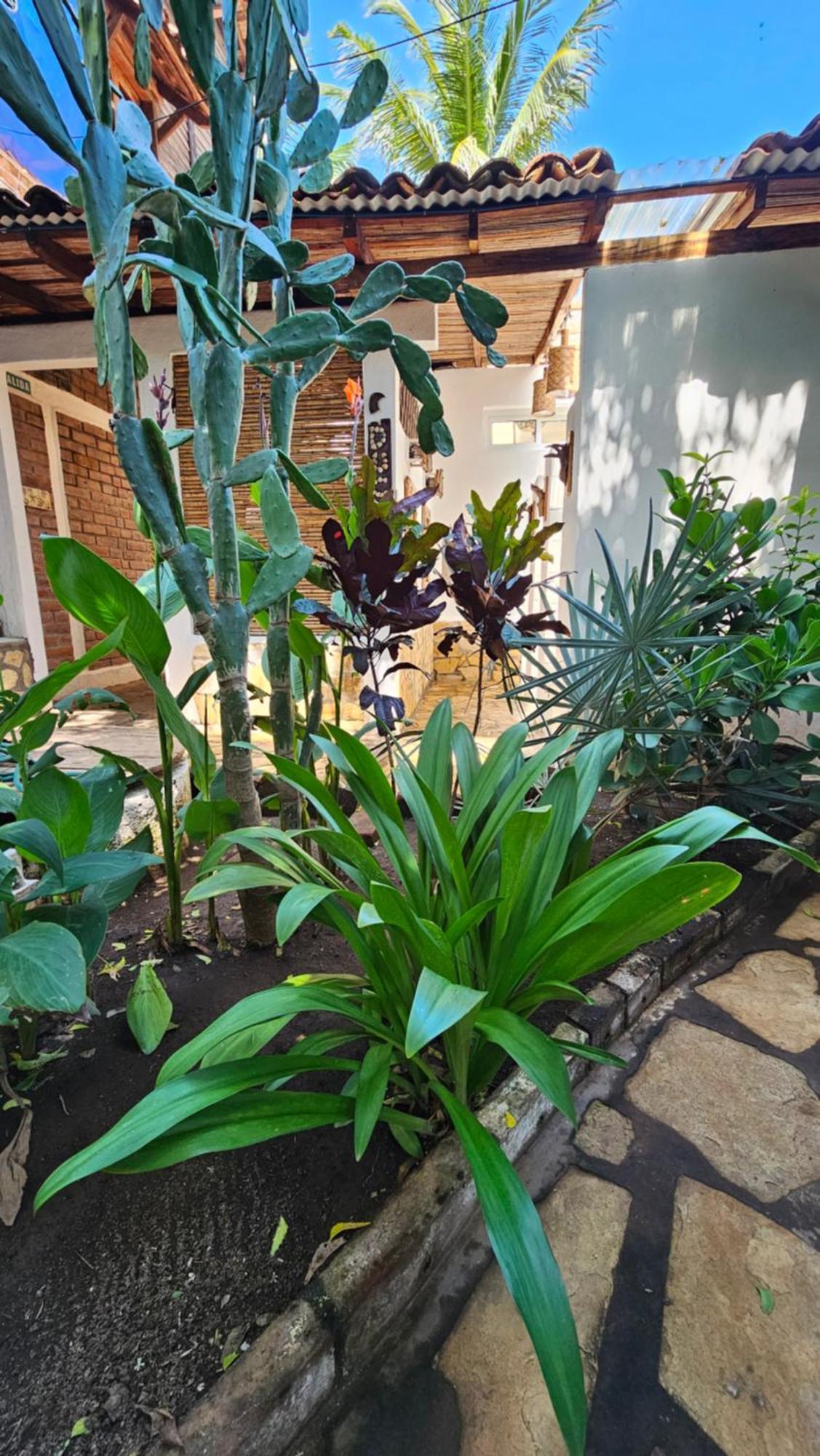 Las Peñitas Mano A Mano Eco Hostal מראה חיצוני תמונה