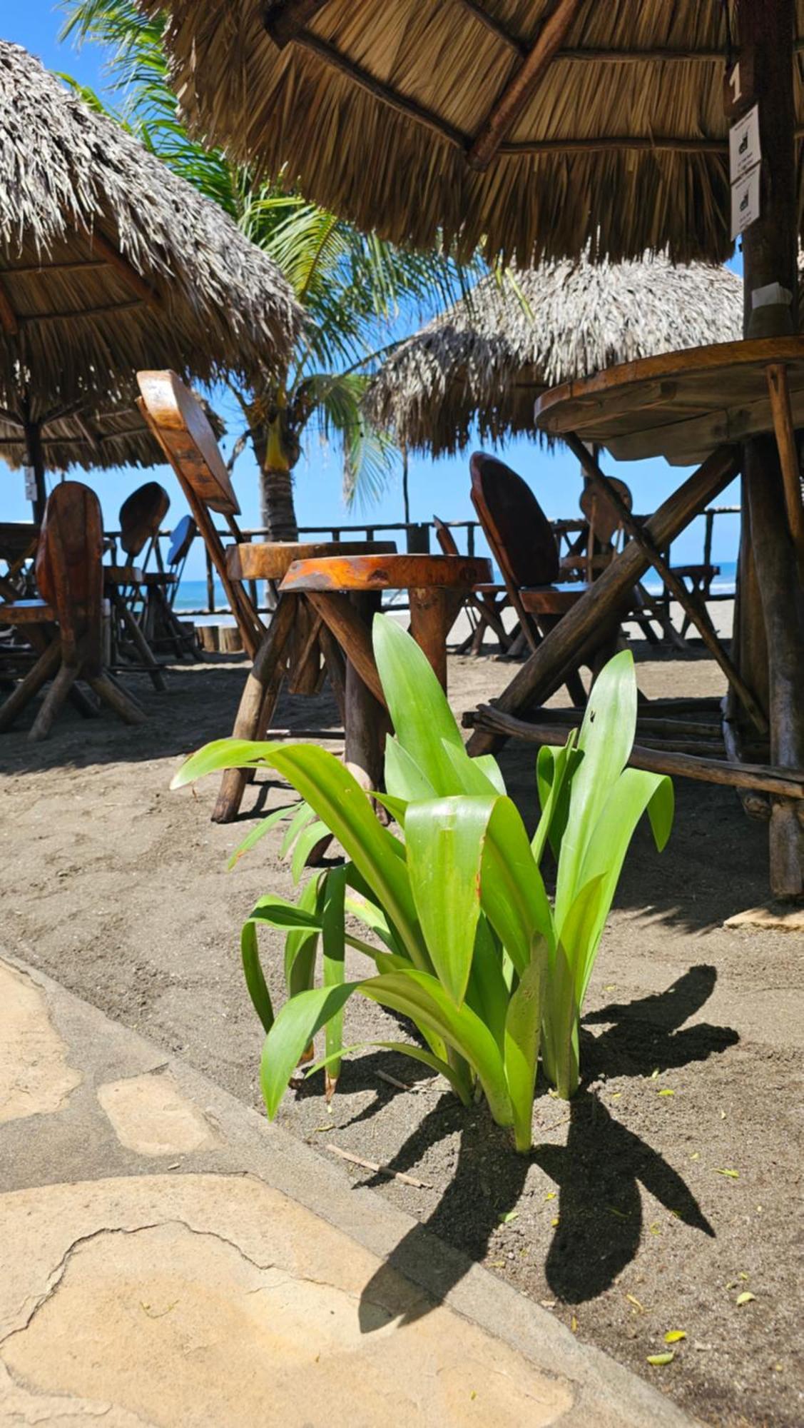 Las Peñitas Mano A Mano Eco Hostal מראה חיצוני תמונה